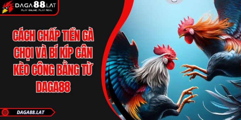 Cách Chấp Tiền Gà Chọi Và Bí Kíp Cân Kèo Công Bằng Từ DAGA88 2 Cách chấp tiền gà chọi