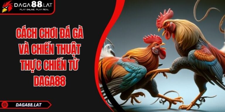 Cách Chơi Đá Gà Và Chiến Thuật Thực Chiến Từ DAGA88 1 Cách chơi đá gà