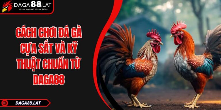 Cách Chơi Đá Gà Cựa Sắt Và Kỹ Thuật Chuẩn Từ DAGA88 9 Cách chơi đá gà cựa sắt