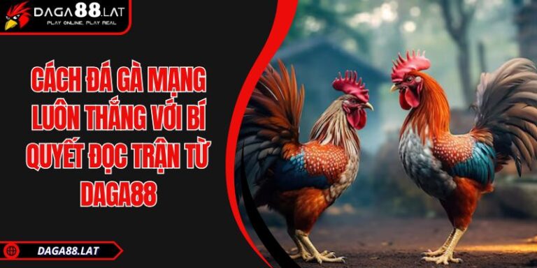 Cách Đá Gà Mạng Luôn Thắng Với Bí Quyết Đọc Trận Từ DAGA88 5 Cách đá gà mạng luôn thắng