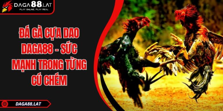 Đá Gà Cựa Dao DAGA88 - Sức Mạnh Trong Từng Cú Chém 6 Đá gà cựa dao