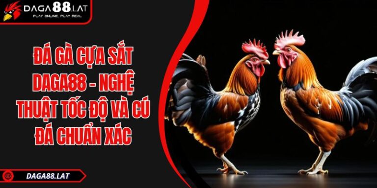 Đá Gà Cựa Sắt DAGA88 - Nghệ Thuật Tốc Độ Và Cú Đá Chuẩn Xác 7 Đá gà cựa sắt