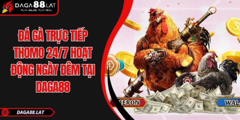 Đá Gà Trực Tiếp Thomo 24/7 Hoạt Động Ngày Đêm Tại DAGA88 3 Đá gà trực tiếp Thomo 24/7