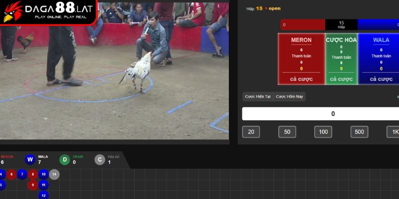 Giá trị và sức hút của đá gà trực tiếp Thomo 24/7 hiện nay