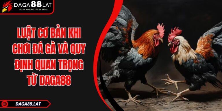 Luật Cơ Bản Khi Chơi Đá Gà Và Quy Định Quan Trọng Từ DAGA88 6 Luật cơ bản khi chơi đá gà
