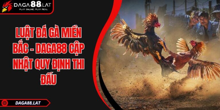 Luật Đá Gà Miền Bắc - DAGA88 Cập Nhật Quy Định Thi Đấu 10 Luật đá gà miền Bắc