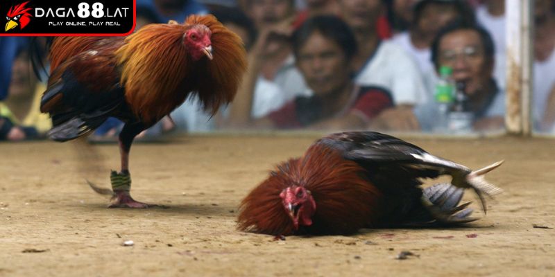 Tiêu chí thắng cuộc