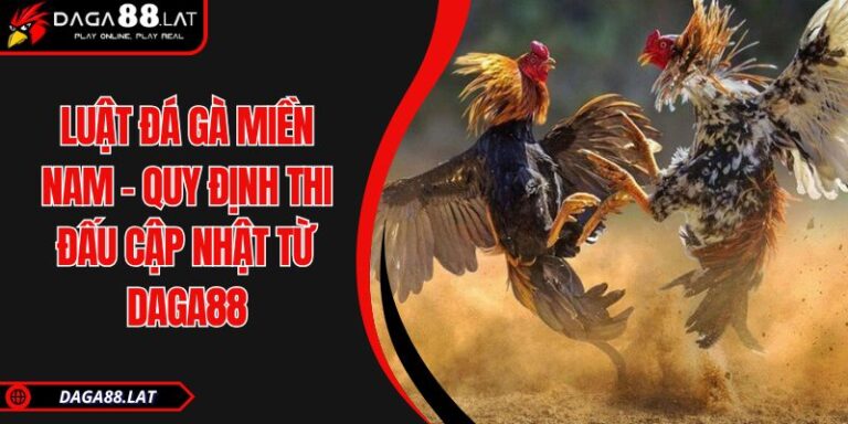 Luật Đá Gà Miền Nam - Quy Định Thi Đấu Cập Nhật Từ DAGA88 9 Luật đá gà miền Nam