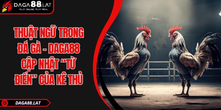 Thuật Ngữ Trong Đá Gà - DAGA88 Cập Nhật “Từ Điển” Của Kê Thủ 8 Thuật ngữ trong đá gà