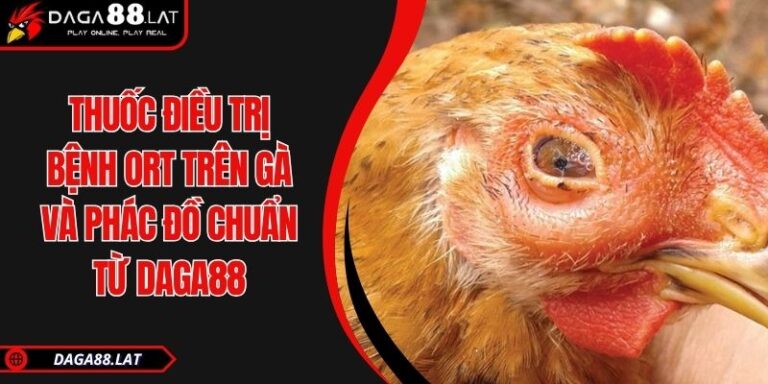 Thuốc điều trị bệnh ORT trên gà