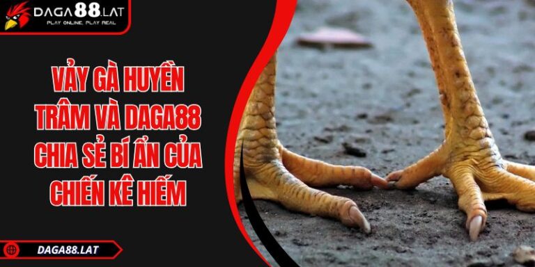 Vảy gà huyền trâm