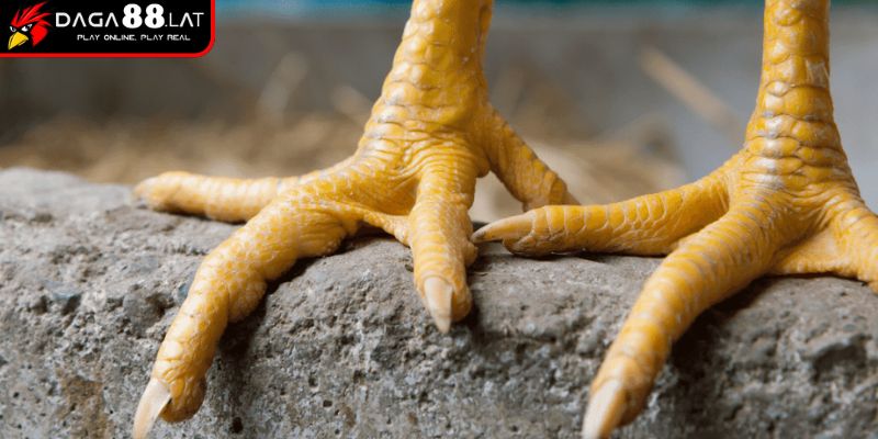 Quan niệm dân gian