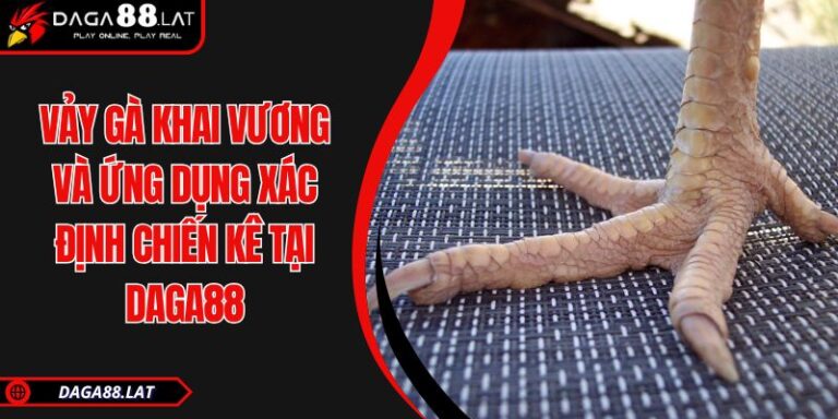 Vảy gà khai vương